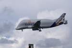 Ein Airbus A 300-600ST ...  Wolfram Tribull 13.06.2009