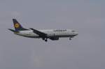 Lufthansa Eine Boeing B737 von der Lufthansa mit der Kennung D-ABEE (Taufname Ulm) aufgenommen am 04.04.09 am Z�richer Flughafen.