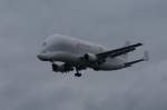 Ein Airbus A 300-600ST ...  Wolfram Tribull 14.06.2009