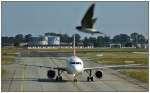 A319 Ein kleines Missgeschick, aber wozu gibt es die Serienfunktion;-).