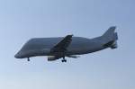 Ein Airbus A-300-608ST Beluga ...  Frank Tribull 17.06.2009