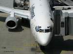 Lufthansa Fensterputzer an Lufthansa Boeing 737-300 'Fulda', die als Flug LH 1054 aus Frankfurt gekommen ist; Dresden-Klotzsche, 24.05.2007
