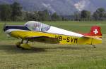 kestenholz Private, HB-SVM, Jodel, D-119, 22.08.2009, Kestenholz, Switzerland 

