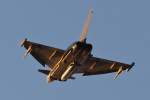 �berflug/Eurofighter Typhoon/30+39/ETSN/Neuburg a.d. Donau/19.11.09. ...  Johann Watz 21.11.2009