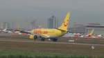 TUIfly-Boeing 737-700 bei der Landung in Stuttgart auf der Bahn ...