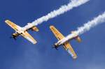 Private, YR-UAA, YR-UAU, Yakovlev, Yak 52TW, 30.08.2009, LSPD, Dittingen, Switzerland

 ...