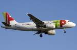 Air Portugal, CS-TTO, Airbus, A319-111, 31.08.2009, FRA, Frankfurt, Germany

  ...