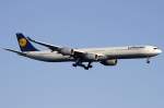 Lufthansa, D-AIHL, Airbus, A340-642, ...  Kurt Greul 27.11.2009