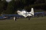 hahnweide-edst Private, F-AZSB, North American, P-51D Mustang, 06.09.2009, EDST, Hahnweide, Germany 

