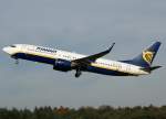Ryanair Raynair, EI-DAM, Boeing 737-800 wl, 2009.11.19, NRN, Weeze, Germany