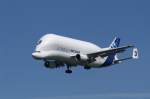 Ein AIRBUS 300-605ST (Beluga ...  Frank Tribull 22.01.2010