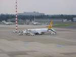 Eine Boeing 737-800 der ...  Bj�rn Berg 16.07.2007