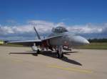 McDonnell Douglas F/A-18D Hornet - J-5237 - Swiss Air Force

aufgenommen ...