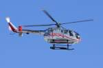 Airmed, D-HDML, MBB, BO-105-CBS, 16.01.2010, SZG, Salzburg, Austria 


  ...