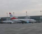 munchen-muc Austrian Airlines Boeing 737-629 OE-LNM Flughafen M�nchen 15.03.2010