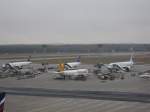 frankfurt-am-main-fra Vorfeld des Frankfurt Airport westlich (06.02.2010)
