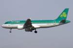 A320 Aer Lingus, EI-CVA, Airbus, A320-214, 02.04.2010, FRA, Frankfurt, Germany 


