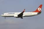 Turkish Airlines Turkish Airlines, TC-JGC, Boeing, B737-8F2, 02.04.2010, FRA, Frankfurt, Germany 

