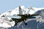 Landung/Schweiz - Air Force/McDonnell ...  Johann Watz 10.04.2010