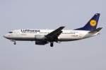 Lufthansa Lufthansa, D-ABXU, Boeing, B737-330, 02.04.2010, FRA, Frankfurt, Germany 

