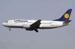 Lufthansa Lufthansa, D-ABXY, Boeing, B737-330, 02.04.2010, FRA, Frankfurt, Germany 