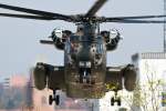 Sikorsky CH53/84+85/Eurocopter Donauw�rth/21.04.2010.   ...