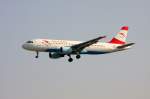 A320 Reg.: OE-LBT Hersteller: AIRBUS Typ: 320-214 Serien Nr.: 1387 Baujahr: 2000 Test-Reg.: F-WWIS Erstflug: 15.12.2000 mit dem Taufnamen W�rthersee aufgenommen am 22.05.2010 auf dem Flughafen Frankfurt am Main