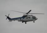 berlin-tegel-txl Flugbereitschaft BMVg Eurocopter AS-532 U2 Cougar 82+03 am 24.04.2010 in Berlin-Tegel