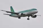 AIR LINGUS Airbus A ...  ferdinand baumgartner 19.06.2010