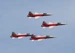 Swiss Air Force Patrouille ...  Frank Maczkowicz 26.06.2010