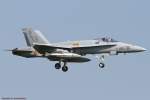Landung/ F-18 aus Spanien/Elite ...  Johann Watz 29.06.2010