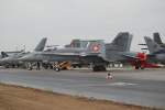 F-18 Hornet der Schweizer ...  Bj�rn-Marco Halmschlag 30.06.2010