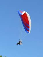 Auch auf seinem R�ckflug ...  Volkmar D�ring 08.07.2010