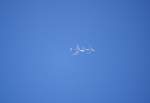 e3a-awacs Eine Boeing E-3B Sentry NATO AWACS mit der Kennung LX-N90443 mit Sonderlackierung bei der Luftbetankung mit einem Tankflugzeug von Boeing KC-135 beim �berflug von Altenbruch aufgenommen am 28.07.10
