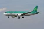 Aer Lingus A 320-214 ...  Frank Maczkowicz 12.09.2010