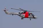 Sea Lynx (12 Fotos)