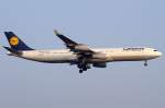 Lufthansa, D-AIGY, Airbus, A340-313, ...  Kurt Greul 02.02.2011