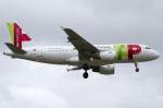 Air Portugal, CS-TTJ, Airbus, ...  Kurt Greul 20.02.2011