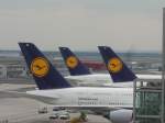 Drei Heckleitwerke von A380 ...  Daniel Oster 17.04.2011