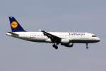Lufthansa Airbus  A ...  T�lzer73 07.05.2011