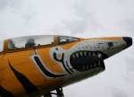 FIAT G-91 T-3  Tigerlook ,, ...  Wolfgang Kleuser 21.07.2011