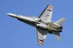 Swiss - Air Force, J-5017, McDonnell-Douglas, FA-18C Hornet, 29.06.2011, LOXZ, ...