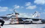 MiG 29 (20 Fotos)