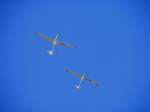 SZD 50 Puchacz D-3829 im Paar mit dem Grob Astir ...