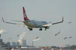 Turkish Airlines B 737-8F2 TC-JFF mit zus�tzlichem Flugverkehr kurz vor ...