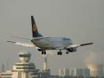Lufthansa B 737-330 D-ABXO ...  Frank Maczkowicz 10.01.2012