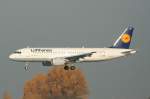Lufthansa A ...  Frank Maczkowicz 20.02.2012