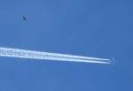 2 V�gel ...  Rolf Reinhardt 18.04.2012