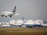 Der Flughafen Frankfurt am Main mit einer landenden Boeing 737 ...