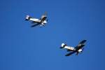 Focke Wulf FW-44 Stieglitz ...  Bj�rn-Marco Halmschlag 01.09.2008